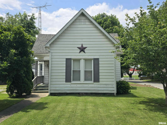 313 N STATE ST, CHRISTOPHER, IL 62822 - Image 1