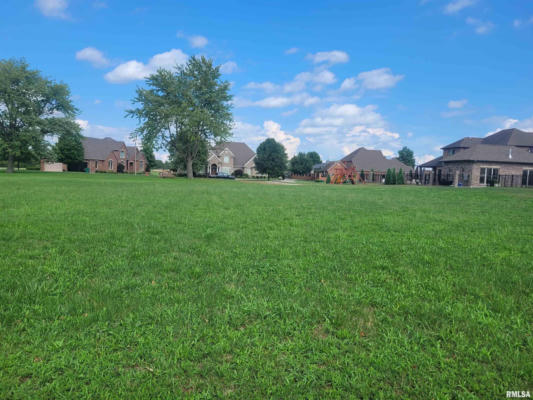 LOT 39 SPRING VALLEY DRIVE, OKAWVILLE, IL 62271, photo 2 of 3