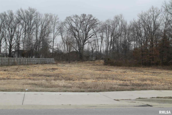 0005 N FRONTAGE ROAD, CRAINVILLE, IL 62918 - Image 1