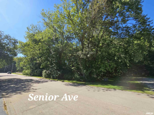 TBD SENIOR AVENUE, VIENNA, IL 62995 - Image 1