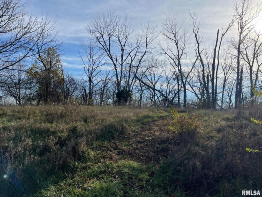 LOT 20 N DEER BLUFFS DRIVE, CHILLICOTHE, IL 61523 - Image 1