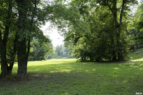 165 SALINE LANDING COUNTY ROAD, CAVE IN ROCK, IL 62919 - Image 1