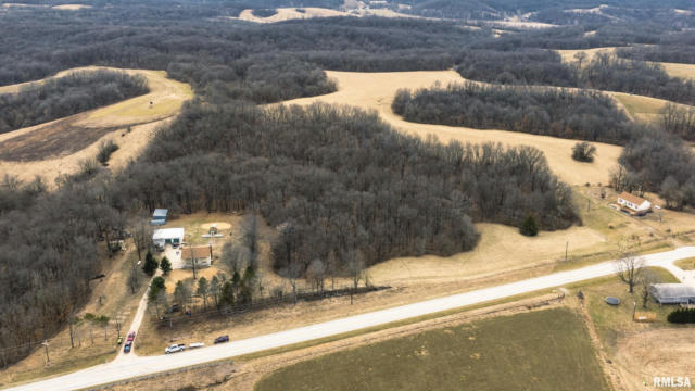 42187 COUNTY HIGHWAY 10, NEBO, IL 62355 - Image 1