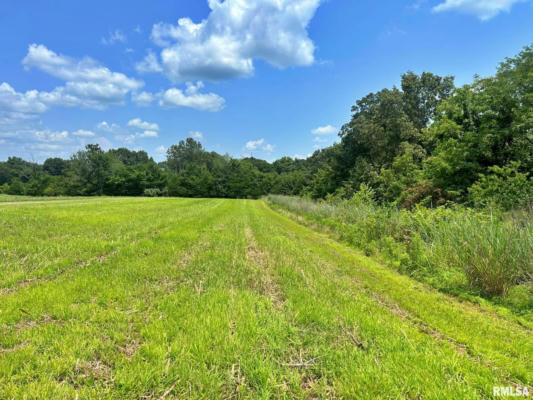 000 WELLINGTON ROAD, GRANTSBURG, IL 62943, photo 2 of 28