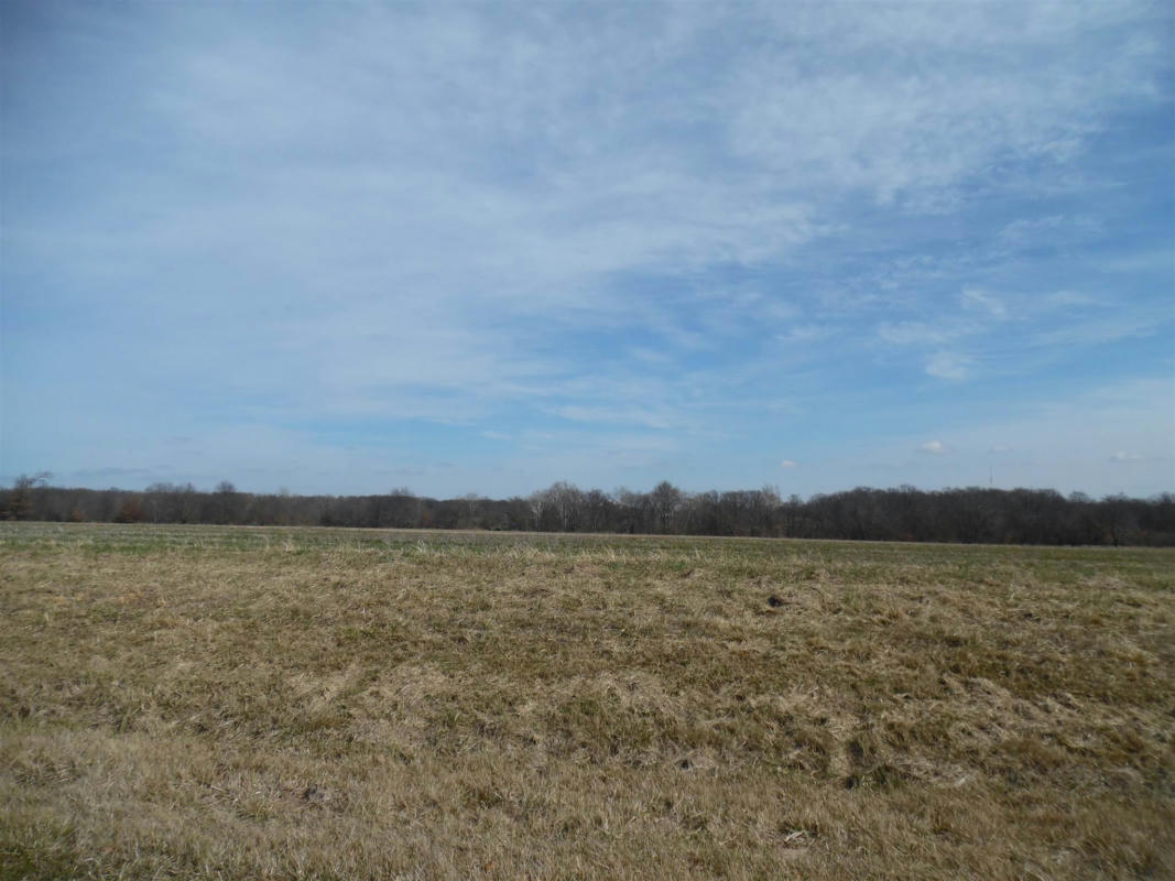 TRACT 2 N MCDERMOTT LANE, MT VERNON, IL 62864, photo 1