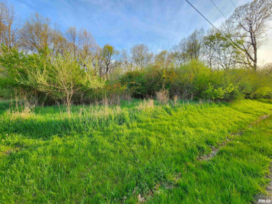 LOT 327 E WASHAKI ROAD, CUBA, IL 61427 - Image 1