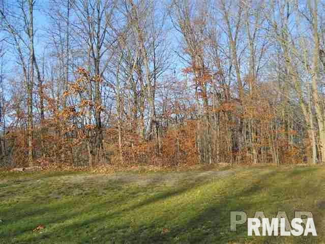 106 GREENVIEW DR APT LOT6, EAST PEORIA, IL 61611, photo 1