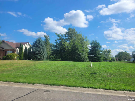 LOT 45 SPRING VALLEY DRIVE, OKAWVILLE, IL 62271 - Image 1