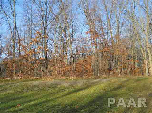 108 GREENVIEW DR APT LOT7, EAST PEORIA, IL 61611, photo 1