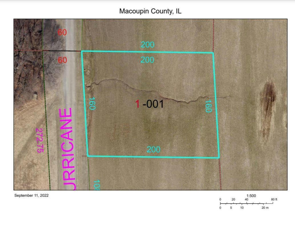 LOT 1--6TH ADDN HURRICANE DRIVE, CARLINVILLE, IL 62626, photo 1