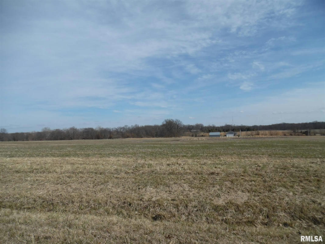 TRACT 4 N MCDERMOTT LANE, MT VERNON, IL 62864, photo 1